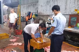 Chuyển cơ quan điều tra vụ gần 1 tấn thịt lợn nghi nhiễm tả lợn châu Phi