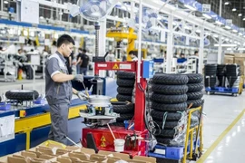 Sớm trình Chính phủ Nghị định về Quỹ phát triển doanh nghiệp nhỏ và vừa