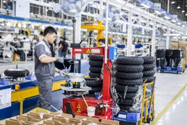 Sớm trình Chính phủ Nghị định về Quỹ phát triển doanh nghiệp nhỏ và vừa