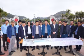 Hải Phòng thúc đẩy tiến độ dự án khu đô thị, khu du lịch tại Cát Bà