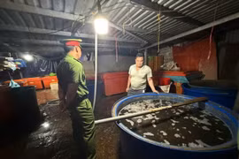 Triệt phá ‘xưởng’ dùng hàng trăm tấn hóa chất độc hại ngâm 3.000 tấn thịt ốc