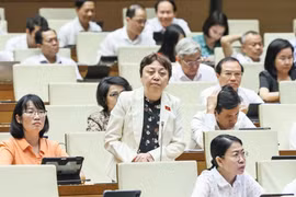 “Thanh tra đi đến đâu, hàng hóa cũng giấu hết”