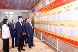 Hỗ trợ tối đa các ứng cử ĐBQH do Trung ương giới thiệu tại địa phương