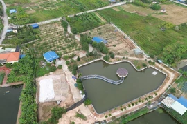 Hải Phòng xử lý công trình hàng trăm m2 xây trái phép trên đất nông nghiệp