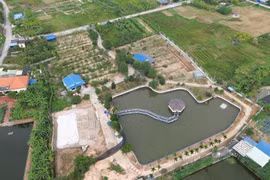 Hải Phòng xử lý công trình hàng trăm m2 xây trái phép trên đất nông nghiệp