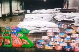 Khởi tố 9 bị can tuồn 120 tấn thịt lợn nhiễm bệnh vào Công ty đồ hộp Hạ Long