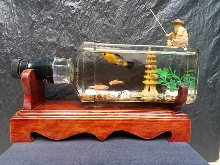 Bể cá mini trang trí nhà độc và đẹp làm từ vỏ chai rượu