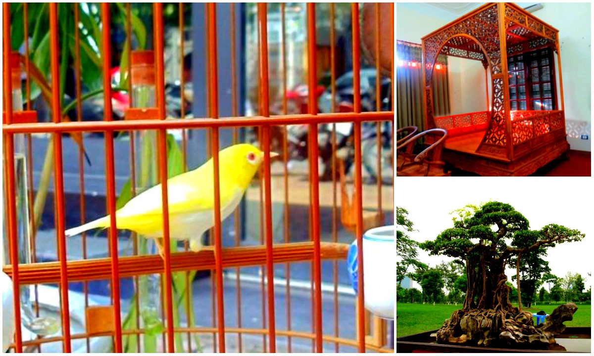 Những vật dụng bạc tỷ của đại gia đất Bắc