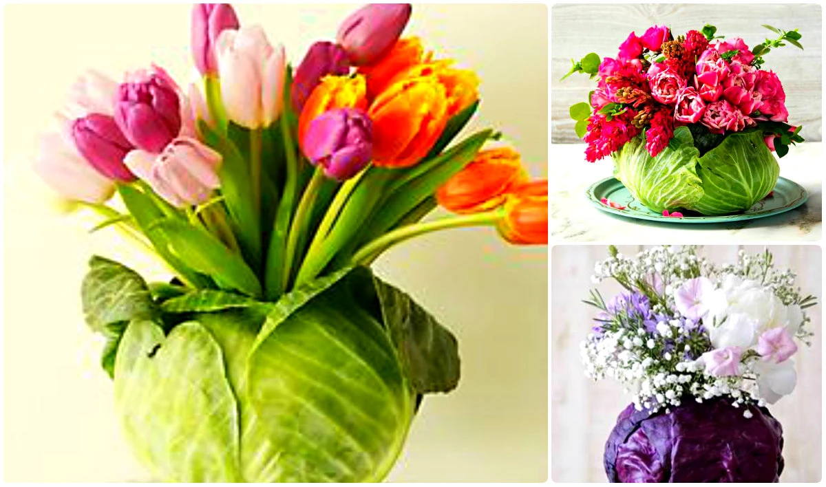 Bình hoa bắp cải siêu độc trang trí nhà ngày Tết