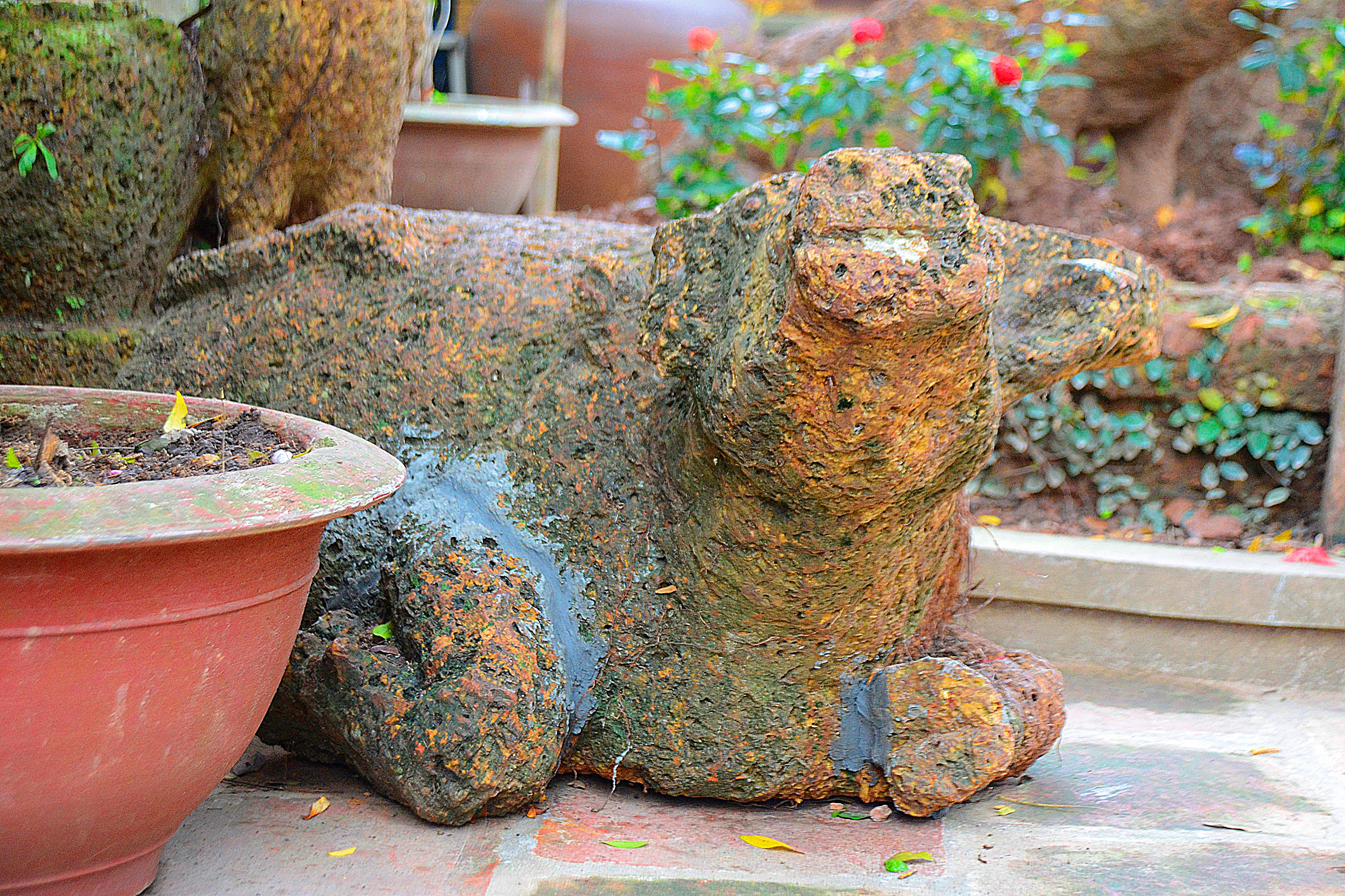 Loạt tượng “dị” trong ngôi nhà cổ trăm tuổi ở Hà Thành