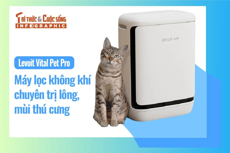 [INFOGRAPHIC]Levoit Vital Pet Pro, máy lọc không khí chuyên trị mùi thú cưng 