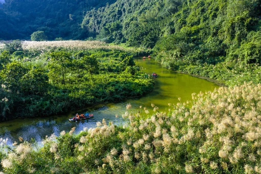 Mỗi cánh lau lay động trong gió, phản chiếu ánh nắng đầu ngày, tạo nên khung cảnh vừa thanh bình vừa tràn đầy sức sống. Sắc trắng tinh khôi của hoa nổi bật trên nền xanh của núi rừng và mặt nước, khiến du khách như lạc vào một miền cổ tích giữa đời thực.