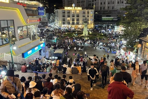 Food tour chợ đêm Đà Lạt khám phá loạt món ngon khiến thực khách mê mẩn