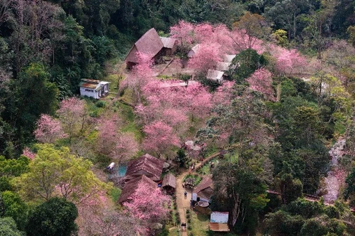 Măng Đen rộn ràng xuân mới, gọi bước chân du khách mê khám phá