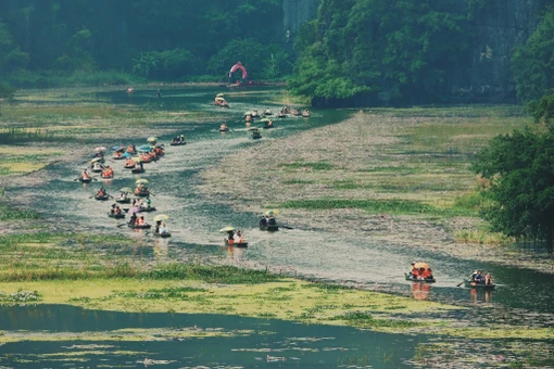 View - Ngồi thuyền ngắm mùa hoa súng Tam Cốc, du khách say quên lối về | Báo Tri thức và Cuộc sống - TIN TỨC PHỔ BIẾN KIẾN THỨC 24H