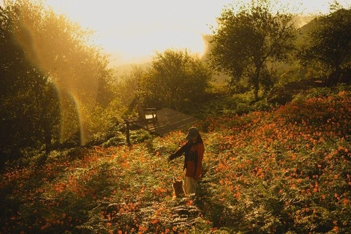 View - Cuối tuần 'săn' hoa cúc ở Tà Xùa góc bình yên giữa núi rừng Tây Bắc | Báo Tri thức và Cuộc sống - TIN TỨC PHỔ BIẾN KIẾN THỨC 24H