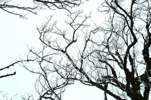 Lên Phia Oắc săn băng giá, trải nghiệm mùa đông đặc biệt của Cao Bằng