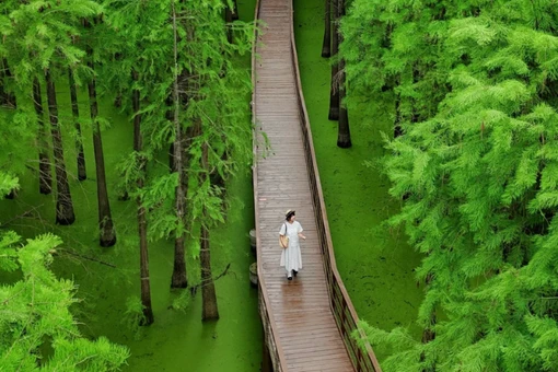 Hồ Thanh Sơn góc xanh bình yên khiến du khách say lòng ở Hàng Châu