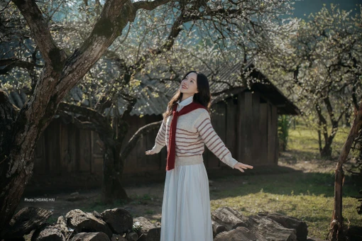 4 tọa độ ngắm hoa mận ở Mộc Châu, chỉ cần giơ máy là có ảnh đẹp