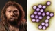 Virus cổ xưa nhất thế giới tìm thấy trong người Neanderthal 50.000 năm