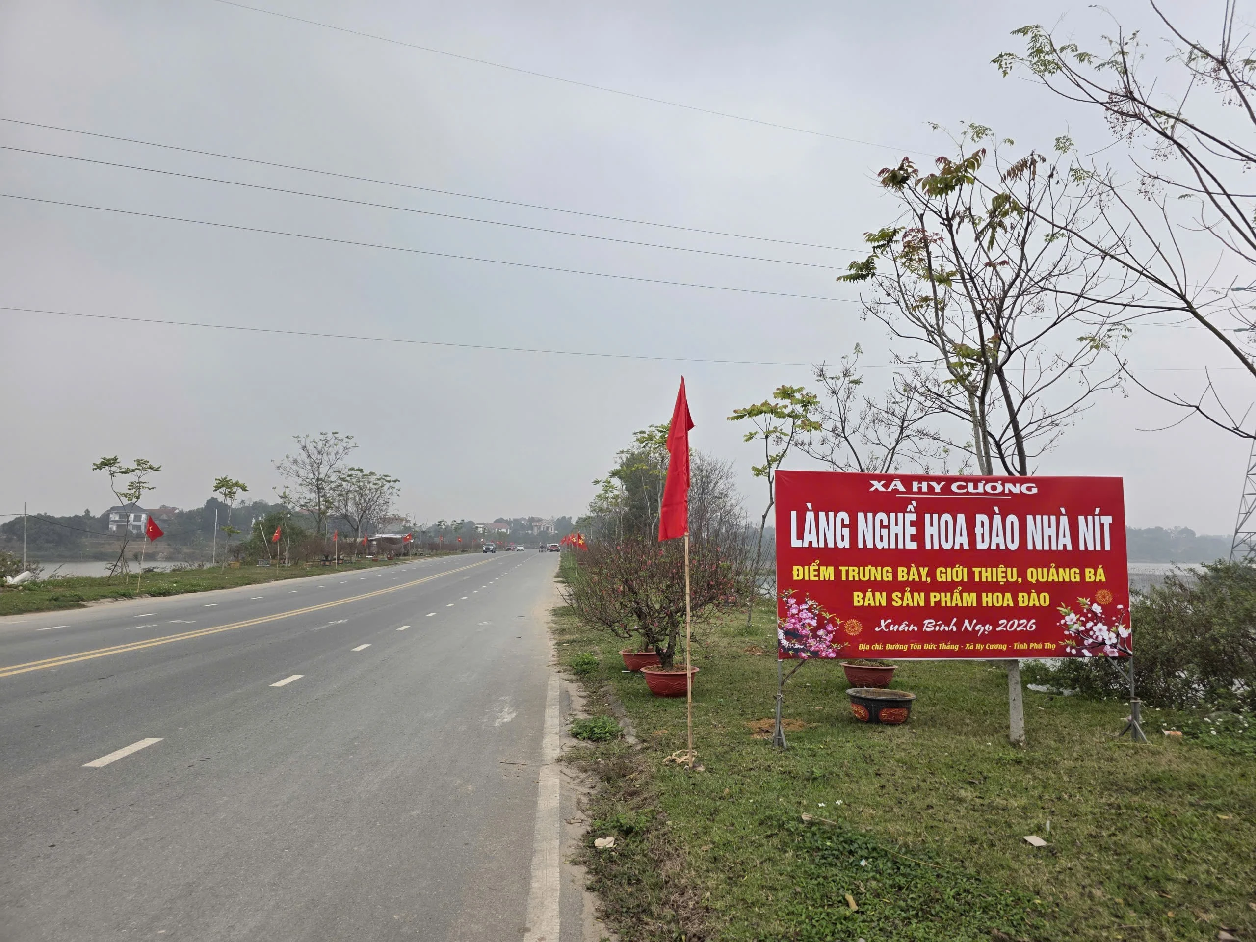 Khám phá làng đào Nhà Nít Phú Thọ mùa Tết sôi động