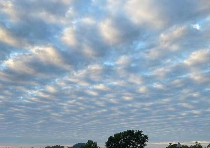 Ngày 19–20/11 vừa qua, nhiều người ghi nhận trên bầu trời Hà Nội xuất hiện các dải mây dài hoặc những cụm mây nhỏ xếp thành chuỗi, đôi lúc uốn lượn như gợn sóng - được gọi là mây tầng tích gợn sóng (stratocumulus undulatus). Hiện tượng này xuất hiện nhiều lần trong ngày, thu hút đông đảo người chụp ảnh và chia sẻ. Ảnh: Facebook.