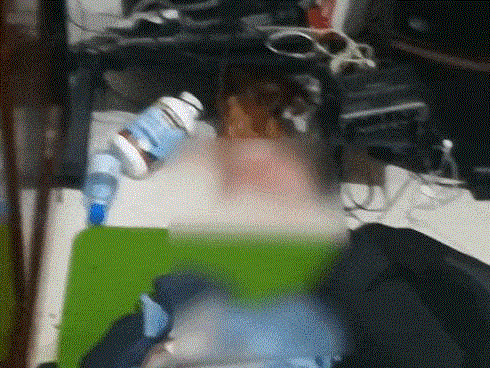 Khoảnh khắc chú chó bị bạo hành khiến người xem xót xa