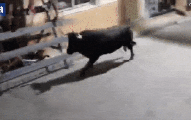 Bi bo tot hat tung len khong trung, du khach song sot than ky