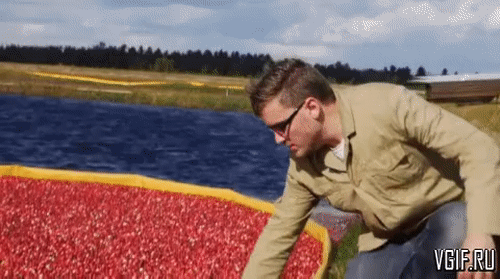 Cái kết cho những kẻ thích hóng hớt tò mò.