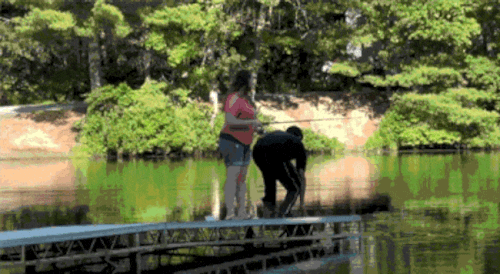 Chỉ vì sợ mà anh "vứt" luôn cả vợ để bỏ chạy.