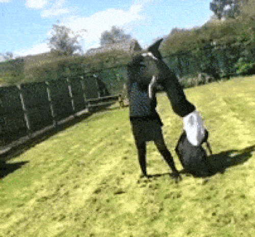 Chỉ vì đặt niềm tin không đúng chỗ.