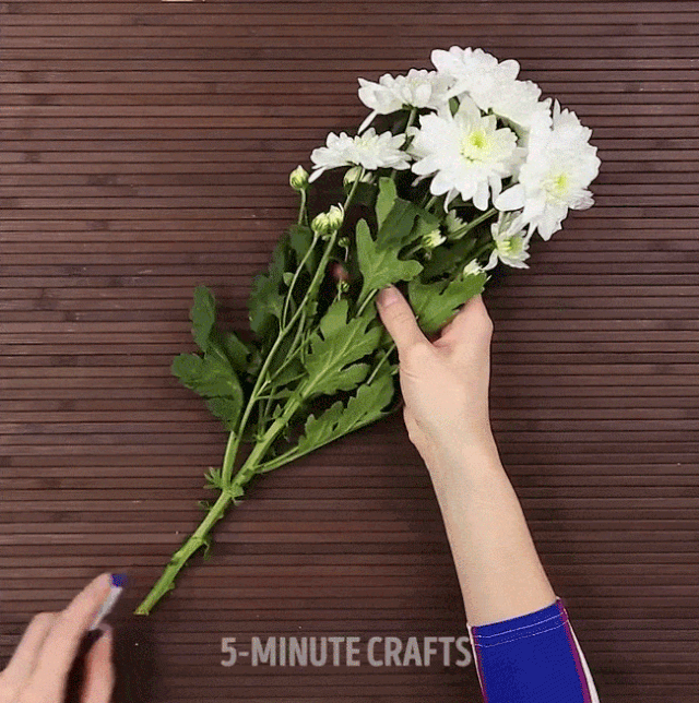 Sau đó sử dụng dao rọc giấy chia cành hoa thành 2 phần như thế này để cành hoa dễ dàng hút nước.