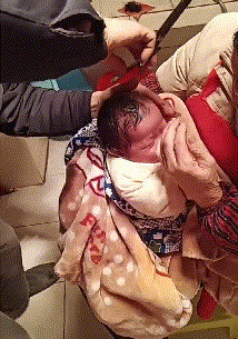 Dan mang phan no canh em be dau don bi ong noi cat toc mau