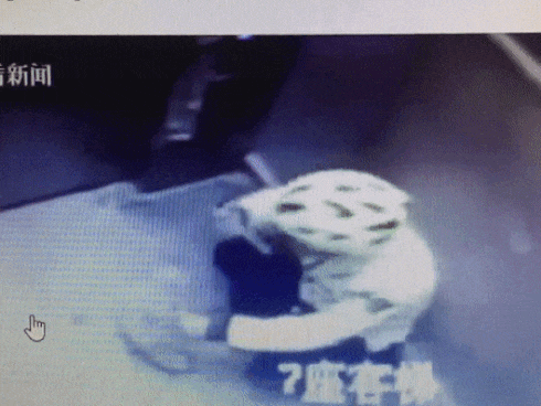 Shipper gay soc khi an vung roi nho lai vao hop tra khach