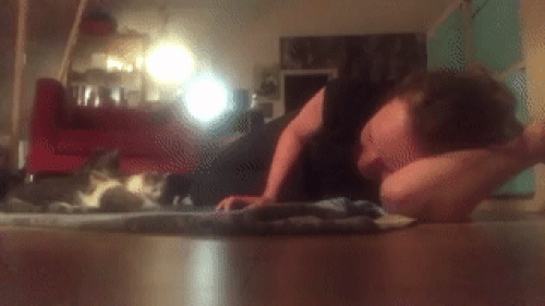 Nhìn to thế mà lại nhát gan quá kìa anh em.