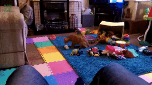 Cái gì mà nhìn kinh khủng quá vậy nè.