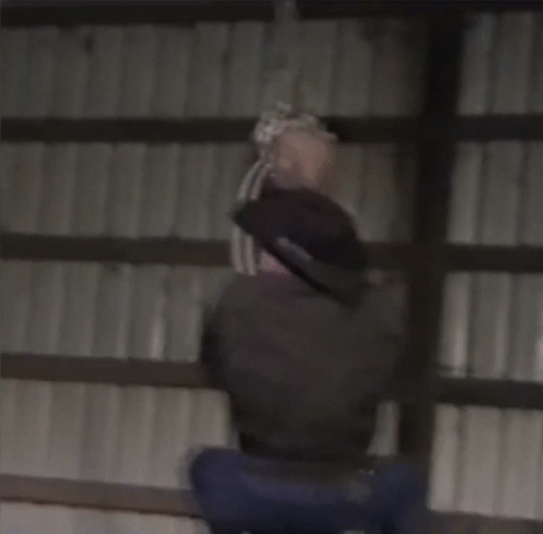 Thích chắn đường của chị nè.