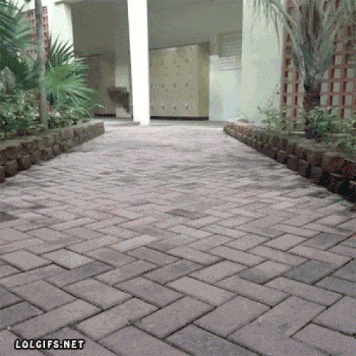 Cũng chỉ tại FA lâu quá mới ra nông nỗi này.