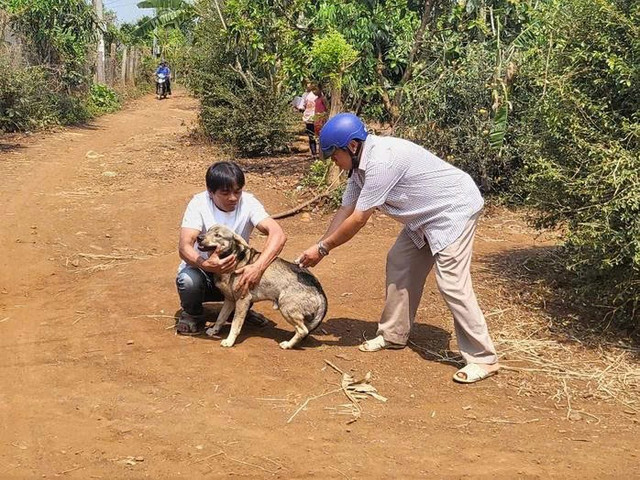 Cơ quan chức năng tổ chức tiêm phòng dại cho đàn chó tại buôn Brăh, xã Ea Tul, tỉnh Đắk Lắk. gen-n-abcd.jpg