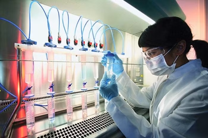 Bước đầu, cơ quan điều tra xác định hung thủ chỉ có thể ở cùng xóm và có quen biết với gia đình nạn nhân. Vì vậy, để đánh đòn tâm lý, trước đám đông các điều tra viên tuyên bố: “Sắp tìm ra hung thủ, vì đã lấy được mẫu tinh trùng”. Ngay ngày hôm sau, các điều tra viên nhận được một nguồn tin quan trọng về phát hiện đối tượng nghi vấn là Nguyễn Văn Minh Phụng ( SN 1991 - người cùng xóm của nạn nhân) đang tìm cách bỏ trốn. (Ảnh minh họa, nguồn internet)