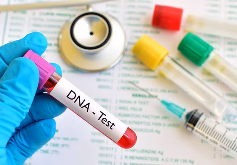 Kết quả giám định cho thấy, ADN của bộ xương và bà Nguyễn Thị H. mẹ đẻ của anh T. là có cùng huyết thống. Từ những chứng cớ thu thập được từ hiện trường cộng với lời khai báo từ người nhà nạn nhân, các chiến sĩ cảnh sát điều tra đã khoanh vùng đối tượng. Thủ phạm là Phạm Văn Mão nhanh chóng bị bắt. Tại cơ quan điều tra, Mão đã phải cúi đầu khai nhận hành vi giết người dã man của mình. (Ảnh minh họa, nguồn internet)