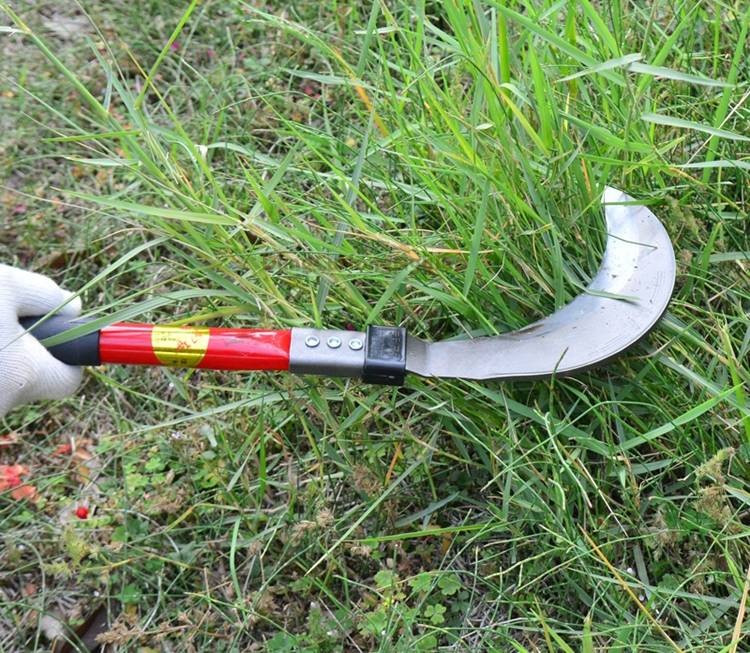 Theo hồ sơ vụ án, sáng ngày 16/9/2005, bà Trương Thị Lợi (trú tại xã Cẩm Châu, huyện Cẩm Thủy) đi cắt cỏ ở đồi Thiêng. Vừa trèo qua bờ rào vào khu vườn, bà phát hiện có một chiếc quần lót của phụ nữ và quần dài vắt trên cây sắn. Khi nhìn ngang sang bên cạnh, bà Lợi tá hỏa phát hiện một xác chết. (Ảnh minh họa, nguồn internet)