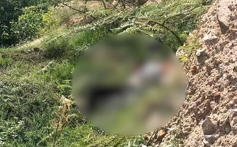 Trên xe, bọn chúng lấy viên thuốc nhét vào miệng nạn nhân ép uống, nhưng không được. Quyết tâm thực hiện ý đồ, đi đến địa phận xã Nam Sơn, huyện Sóc Sơn, bọn chúng lại tiếp tục khống chế ép nạn nhân uống nước pha sẵn nửa viên thuốc độc. Khoảng 30 giây sau, anh N. lả dần đi, 2 bên mép tràn dịch. Thấy nạn nhân đã tử vong, bọn chúng hốt hoảng ném xác xuống vệ đường khu vực dốc Dây Diều, xã Minh Phú, huyện Sóc Sơn rồi về Vĩnh Phúc lấy nốt tiền Chinh và Thái đưa. (Ảnh minh họa, nguồn internet)