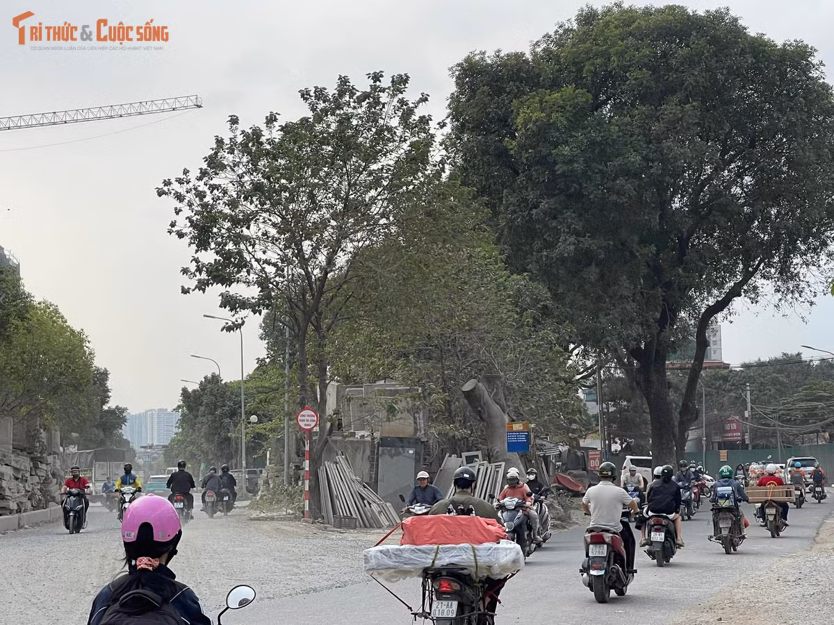 Theo tìm hiểu của PV Báo Tri thức và Cuộc sống, được khởi công từ năm 2016 và dự kiến hoàn thành vào năm 2020. Tuy nhiên đến nay tuyến đường nối phố Tố Hữu với đường 70 kéo dài, đoạn qua phường Đại Mỗ vẫn trong tình trạng thi công dở dang.