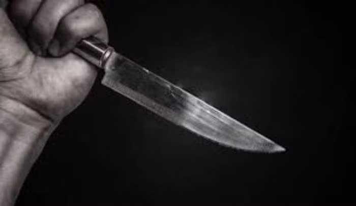 Thấy hai người to tiếng, anh Nguyễn Văn S là người cùng quê, quen biết cả Hiệp và A đã chạy tới can ngăn. Trong cơn nóng giận, Hiệp lấy con dao gọt hoa quả và đâm loạn xạ khiến anh S bị trọng thương, tử vong trên đường đi cấp cứu. Thấy anh S đã chết, Hiệp hoảng sợ không dám về nhà mà chạy về nhà chị gái rồi nhanh chóng bắt xe ngược lên Lạng Sơn, tìm đến khu vực giáp biên nương náu. Hiệp tính, nếu bị phát giác, anh ta sẽ có thể nhanh chân chạy sang bên kia biên giới. (Ảnh minh họa, nguồn internet)