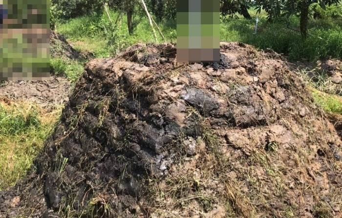 Tại hiện trường, lực lượng chức năng phát hiện nhiều vết máu và một chiếc búa đinh cũng dính máu. Lần theo các dấu vết, kết hợp với thông tin thu thập được trước đó là Chanh 2 lần thuê người sang đào đất, lấp đất trong vườn, cảnh sát đã mở rộng khám nghiệm, kiểm tra khu vườn quanh nhà Chanh. Khi rà soát đến phạm vi bán kính 15m từ căn nhà, một cán bộ đã phát hiện mô đất mới đắp. Tiến hành đào bới, lực lượng chức năng phát hiện một thi thể nằm dưới lớp đất khoảng vài chục cm. Tiếp tục đào bới ở xung quanh, một tử thi khác lộ ra, được chôn đã lâu, đang ở trong tình trạng phân hủy mạnh. (Ảnh minh họa, nguồn internet)