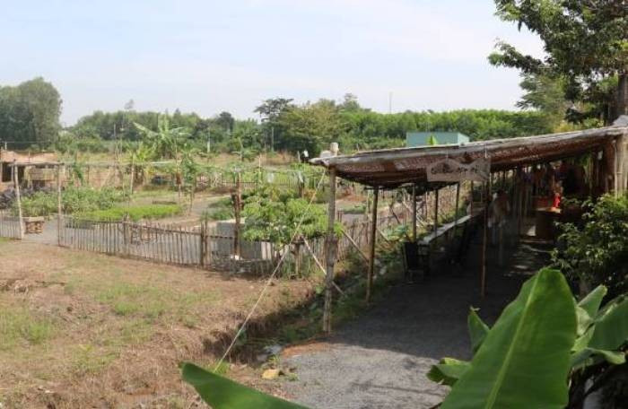 Kết quả xác minh, Chanh sinh ra trong gia đình có 9 người con ở xóm Vũ Trấn, huyện Phú Bình, tỉnh Thái Nguyên. Vì hoàn cảnh gia đình, Chanh chỉ học hết lớp 7. Sau khoảng thời gian đi nghĩa vụ quân sự, đối tượng xuất ngũ, trở về nhà, lập gia đình. Vợ chồng Chanh được bố mẹ hai bên hỗ trợ, chu cấp cho mảnh đất để làm ăn. (Ảnh minh họa, nguồn internet)