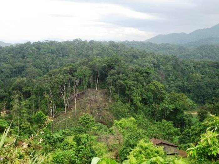 Khi anh T. được đưa đến Trạm Y tế Tiên Yên, cách hiện trường khoảng 50km để sơ cứu, có người thấy Thủ xuất hiện ở khu vực này. Hệ thống các thông tin, tài liệu, cơ quan điều tra xác định, nhiều khả năng Thủ là thủ phạm, nguyên nhân xuất phát từ ghen tuông; Xin có thể đã tiếp tay cho nhân tình phạm tội. (Ảnh minh họa, nguồn internet)