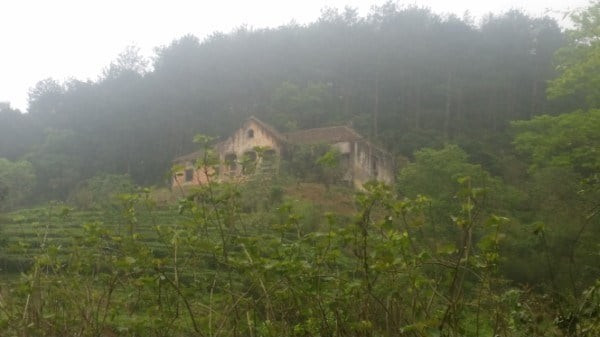Quá trình xác minh cho thấy, nạn nhân là người sống ôn hòa, không có thù oán với ai và không quen biết hung thủ. Tài sản của nạn nhân cũng không bị mất. Người dân quanh khu vực cũng không biết đối tượng này. Do đó, các điều tra viên nhận định, hung thủ không phải là người địa phương. (Ảnh minh họa, nguồn internet)