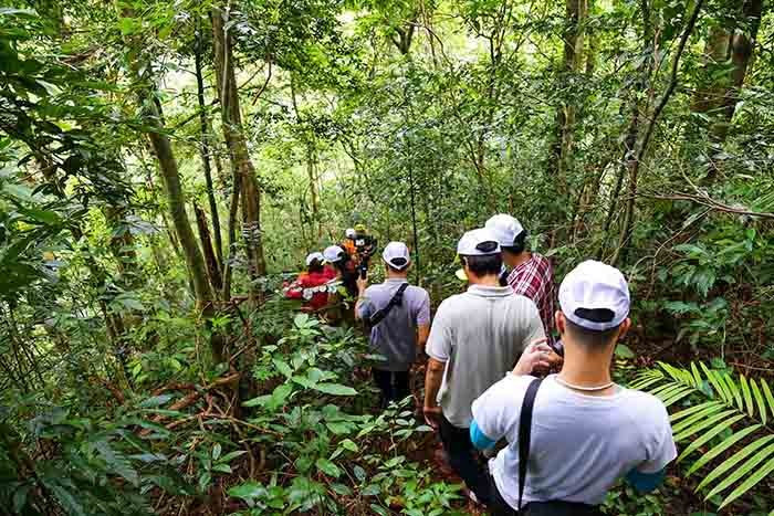 Ngay sau khi xác định được danh tính đối tượng gây ra các vụ tấn công, lực lượng trinh sát lập tức triển khai cuộc truy bắt trên đỉnh Phia Oắc. Các trinh sát thường xuyên băng rừng, cải trang kỹ lưỡng và nấp quanh khu vực miếu. (Ảnh minh họa, nguồn internet)